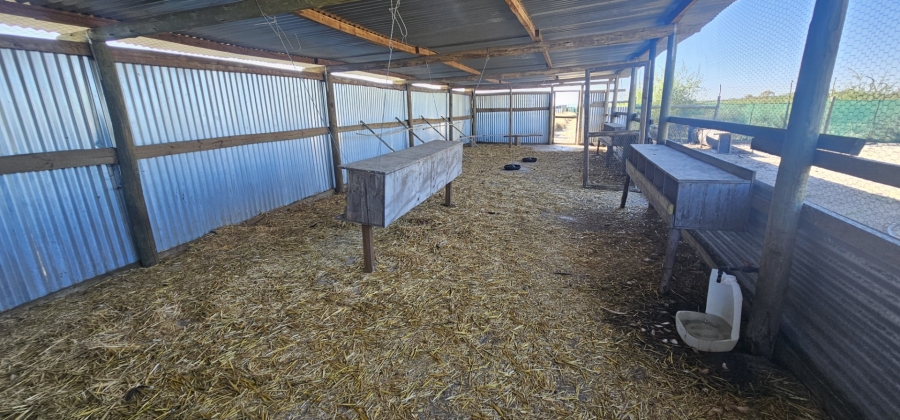 3 Bedroom Property for Sale in Hartebeesfontein Western Cape